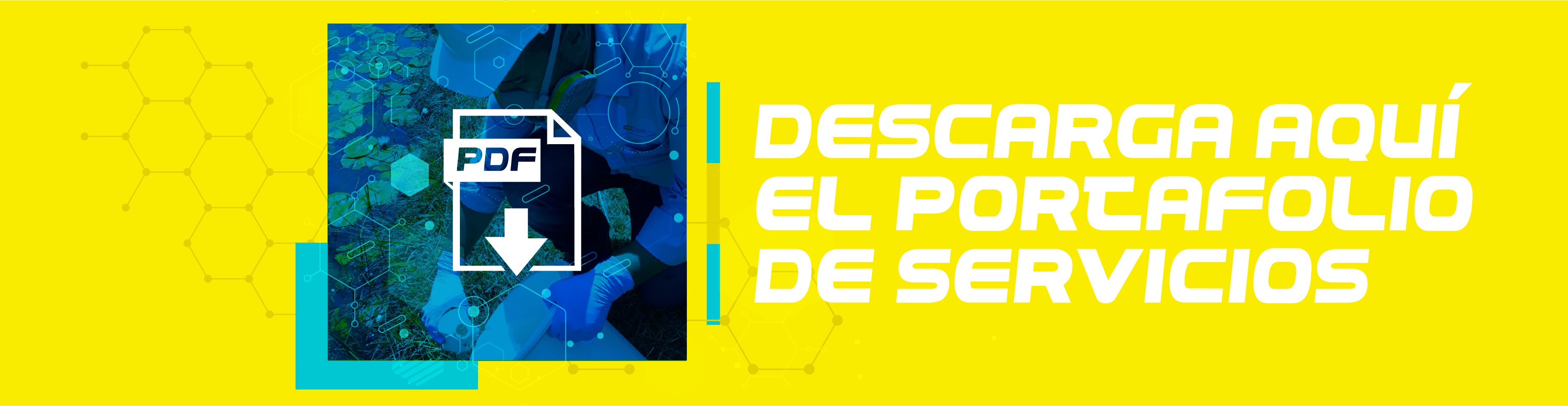 Promo